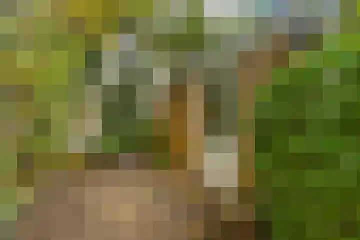 Bilderdijklaan 71 Rijswijk thumbnail 30