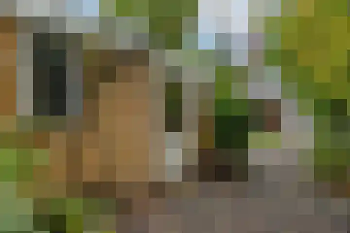 Bilderdijklaan 71 Rijswijk thumbnail 31