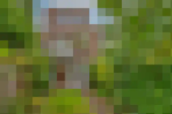 Bilderdijklaan 71 Rijswijk thumbnail 33