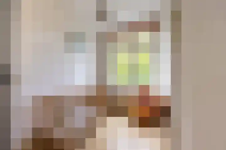 Bilderdijklaan 71 Rijswijk thumbnail 37
