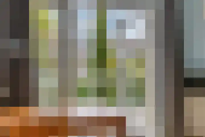 Bilderdijklaan 71 Rijswijk thumbnail 38