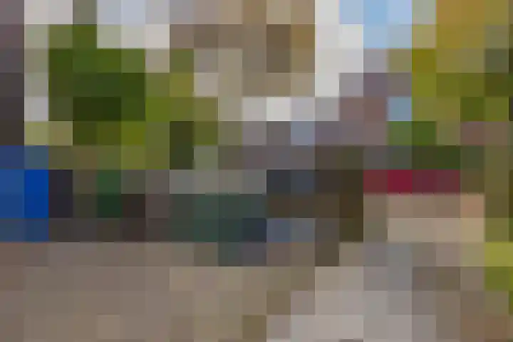 Bilderdijklaan 71 Rijswijk thumbnail 4