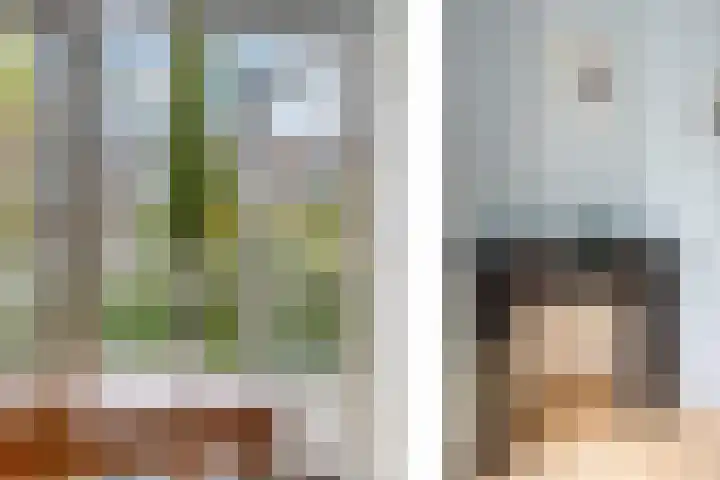 Bilderdijklaan 71 Rijswijk thumbnail 40