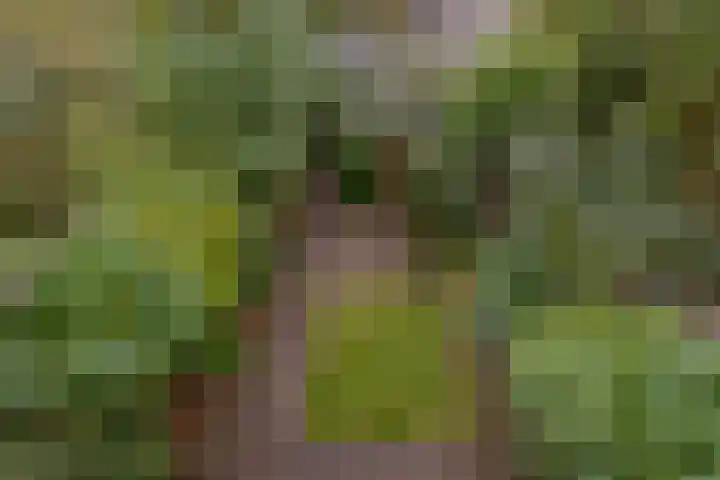 Bilderdijklaan 71 Rijswijk thumbnail 41