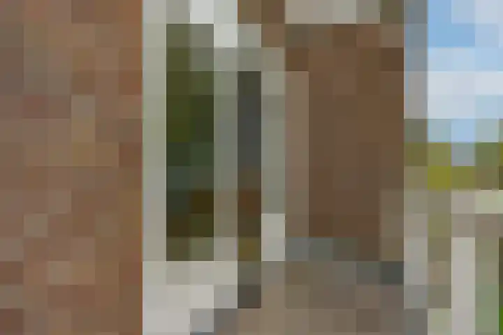 Bilderdijklaan 71 Rijswijk thumbnail 43