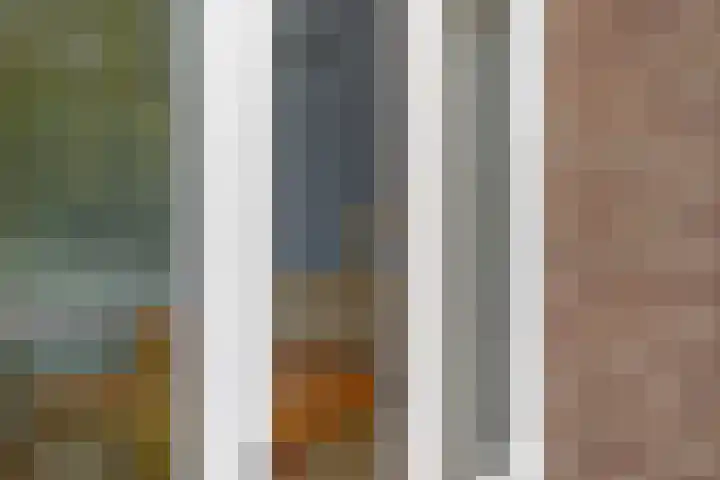 Bilderdijklaan 71 Rijswijk thumbnail 44