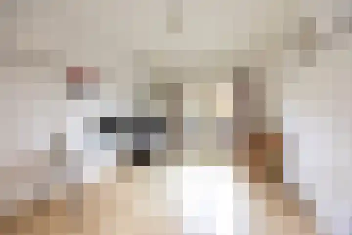Bilderdijklaan 71 Rijswijk thumbnail 47