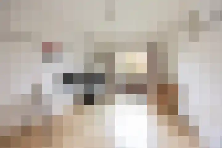 Bilderdijklaan 71 Rijswijk thumbnail 48