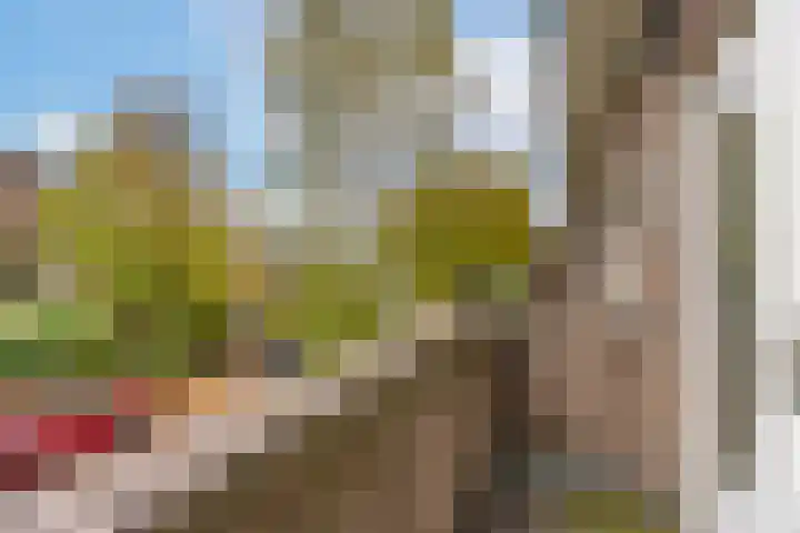 Bilderdijklaan 71 Rijswijk thumbnail 50
