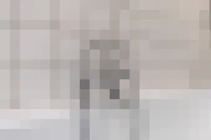 Bilderdijklaan 71 Rijswijk thumbnail 54