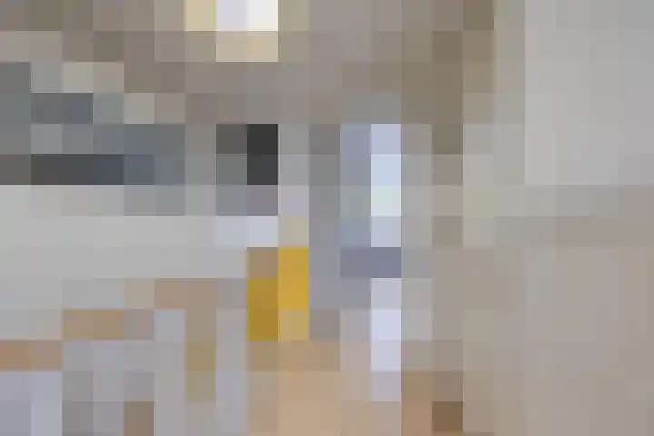 Bilderdijklaan 71 Rijswijk thumbnail 56