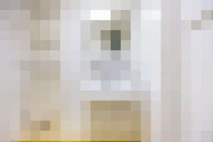 Bilderdijklaan 71 Rijswijk thumbnail 60