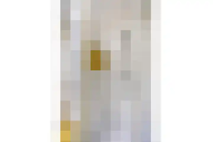 Bilderdijklaan 71 Rijswijk thumbnail 61