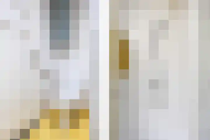 Bilderdijklaan 71 Rijswijk thumbnail 62
