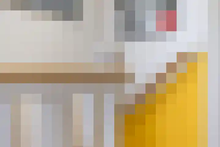 Bilderdijklaan 71 Rijswijk thumbnail 64