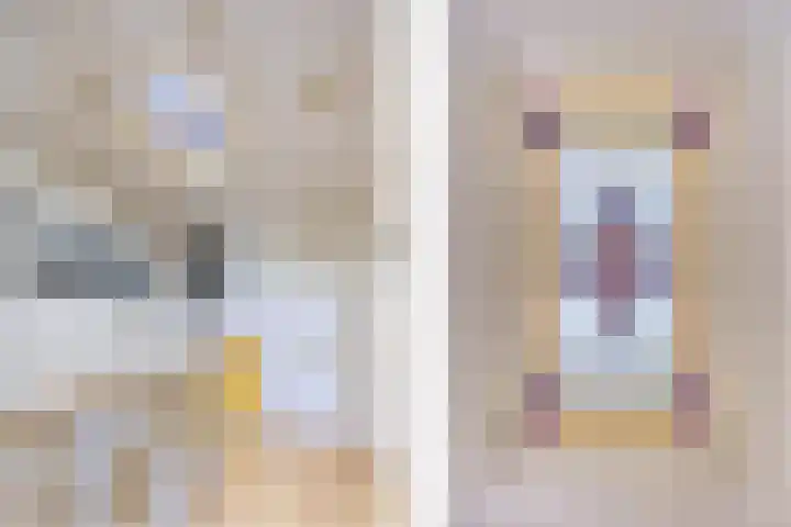 Bilderdijklaan 71 Rijswijk thumbnail 65