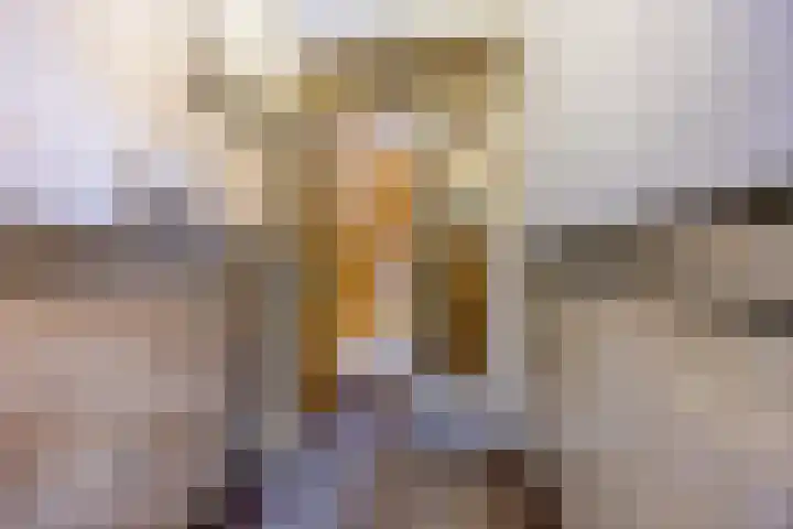 Bilderdijklaan 71 Rijswijk thumbnail 7