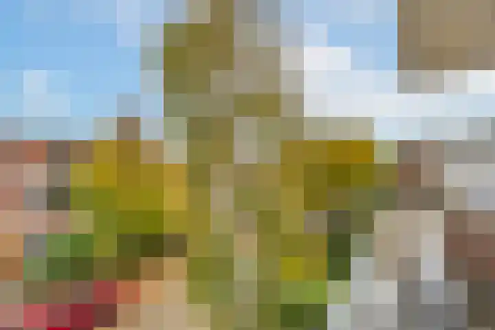 Bilderdijklaan 71 Rijswijk thumbnail 71