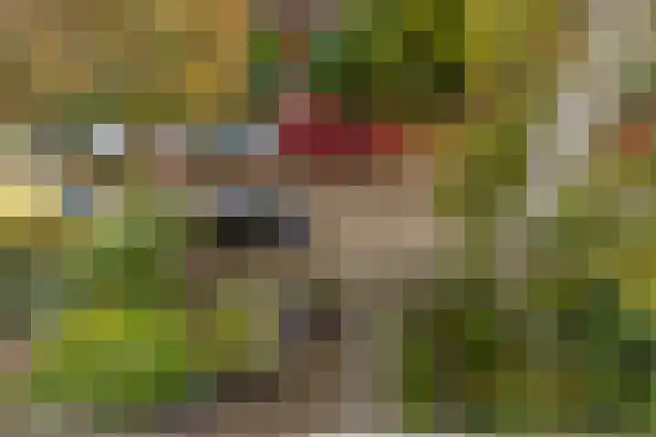 Bilderdijklaan 71 Rijswijk thumbnail 72