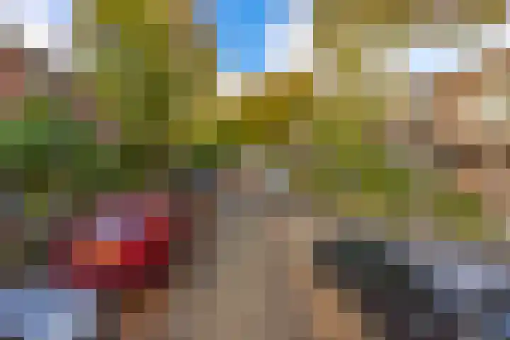 Bilderdijklaan 71 Rijswijk thumbnail 73