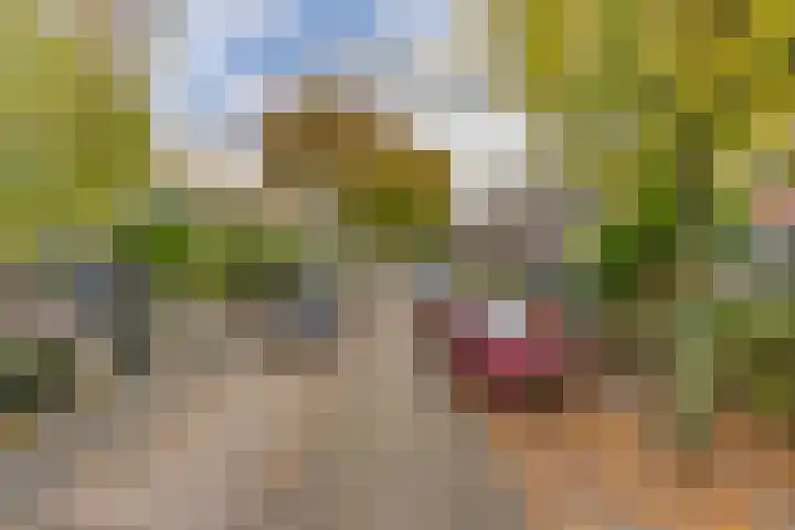 Bilderdijklaan 71 Rijswijk thumbnail 74