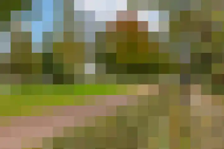 Bilderdijklaan 71 Rijswijk thumbnail 75
