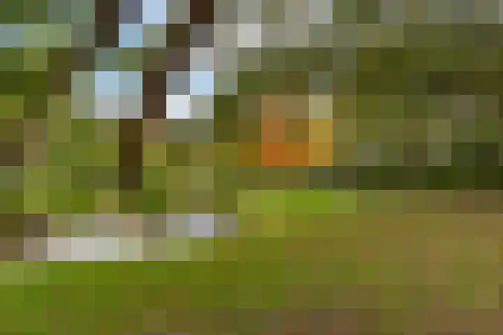 Bilderdijklaan 71 Rijswijk thumbnail 76