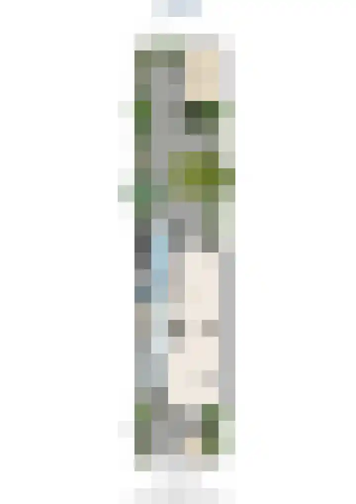 Bilderdijklaan 71 Rijswijk thumbnail 79