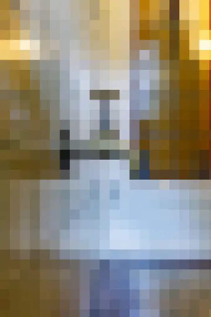 Bilderdijklaan 71 Rijswijk thumbnail 8