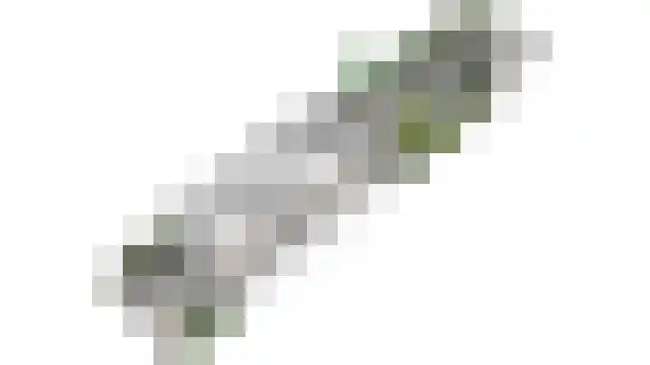 Bilderdijklaan 71 Rijswijk thumbnail 84
