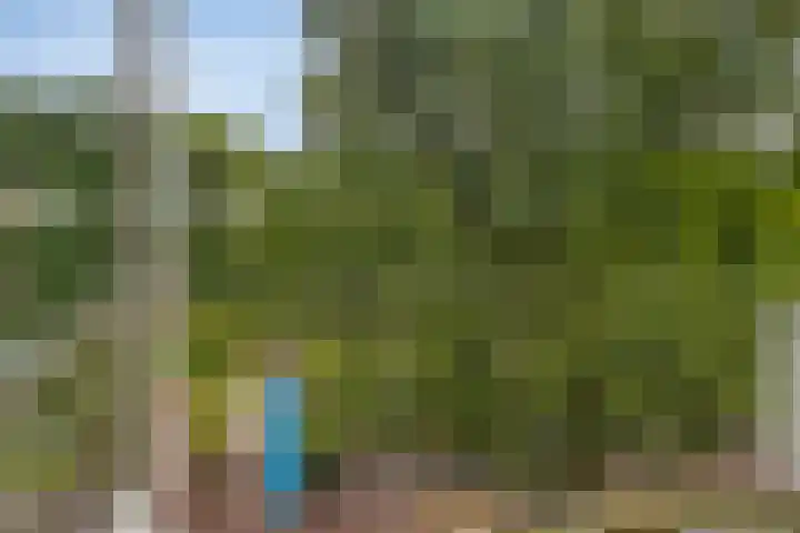 Bilderdijklaan 79 Groningen thumbnail 13