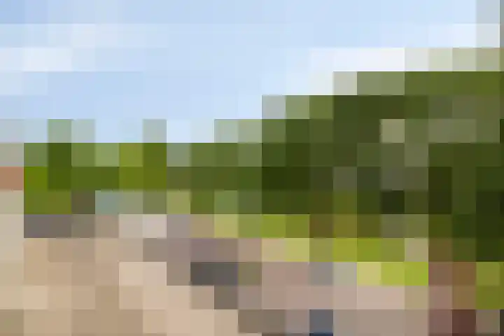 Bilderdijklaan 79 Groningen thumbnail 15