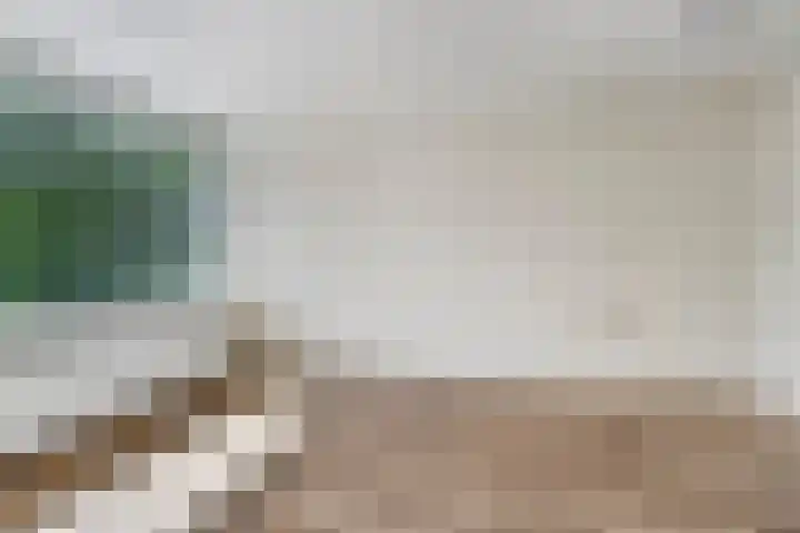 Bilderdijklaan 79 Groningen thumbnail 24