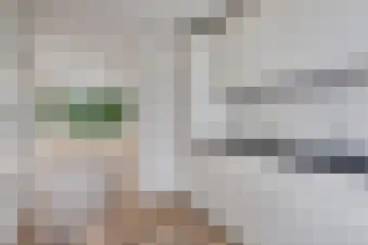 Bilderdijklaan 79 Groningen thumbnail 26
