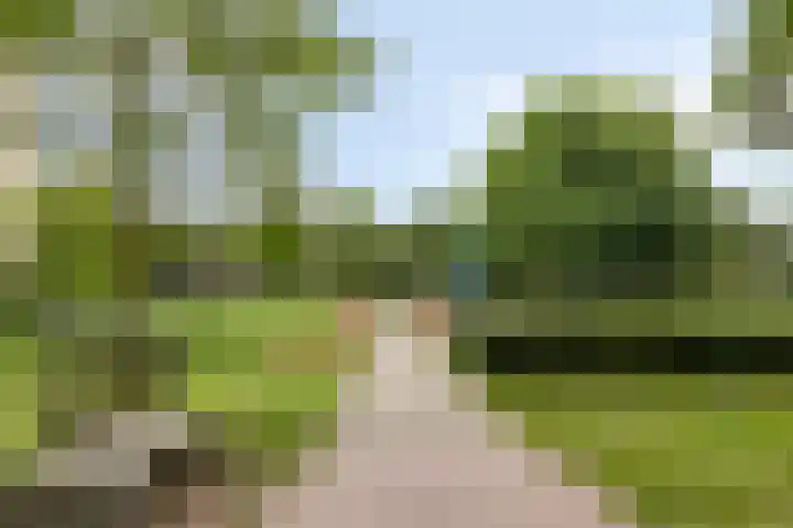 Bilderdijklaan 79 Groningen thumbnail 32