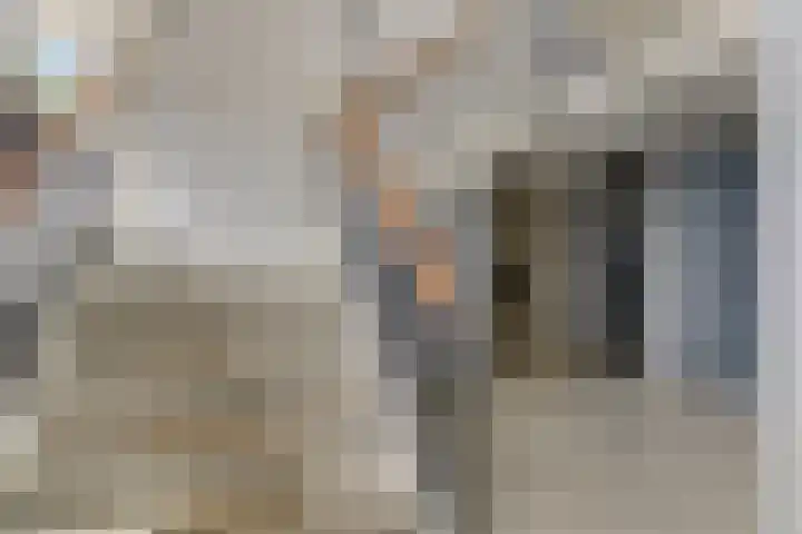 Bilderdijklaan 79 Groningen thumbnail 34
