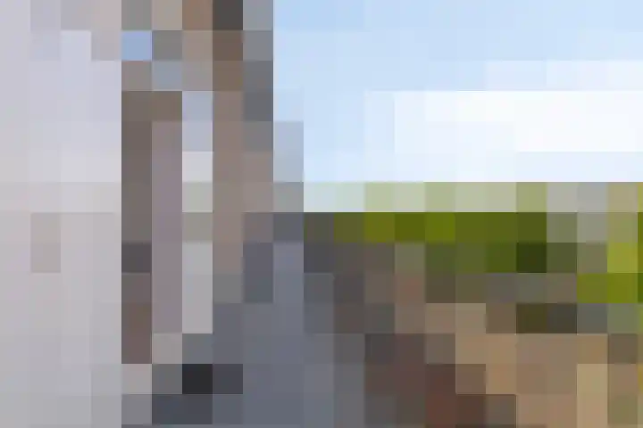 Bilderdijklaan 79 Groningen thumbnail 35