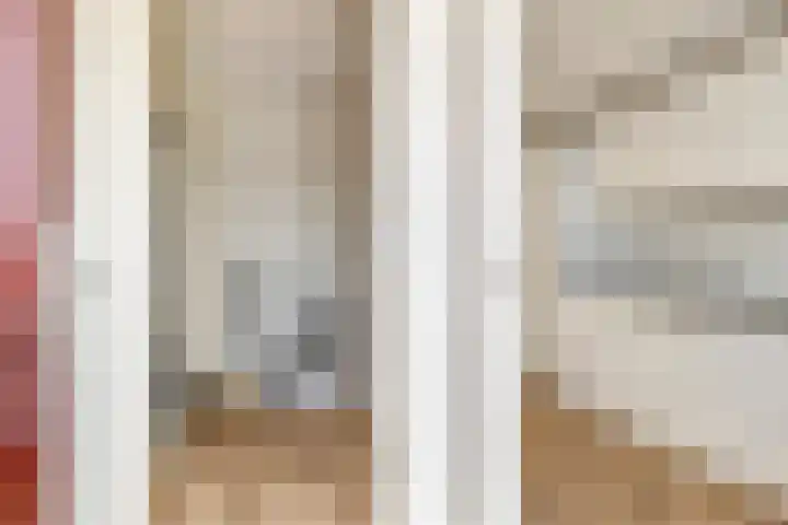 Bilderdijklaan 79 Groningen thumbnail 4