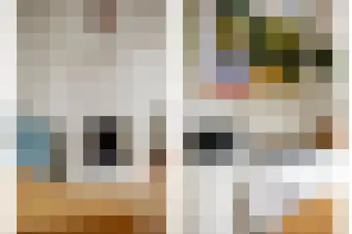 Bilderdijklaan 8 Amstelveen thumbnail 10