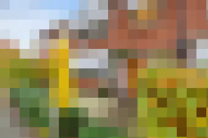 Bilderdijklaan 8 Amstelveen thumbnail 4