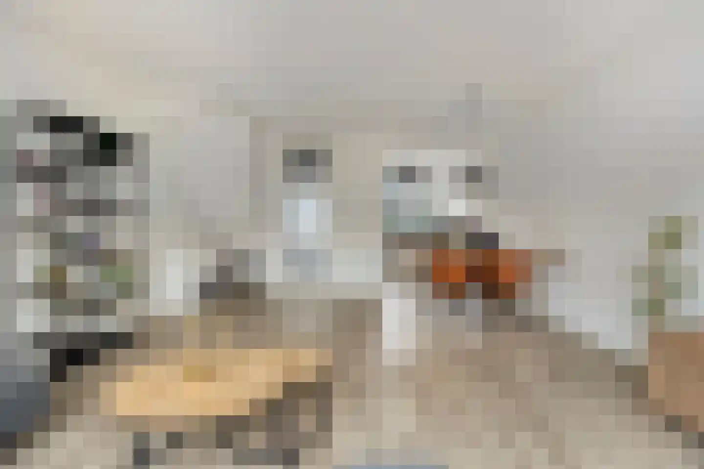 Bilderdijklaan 8 Maassluis thumbnail 5