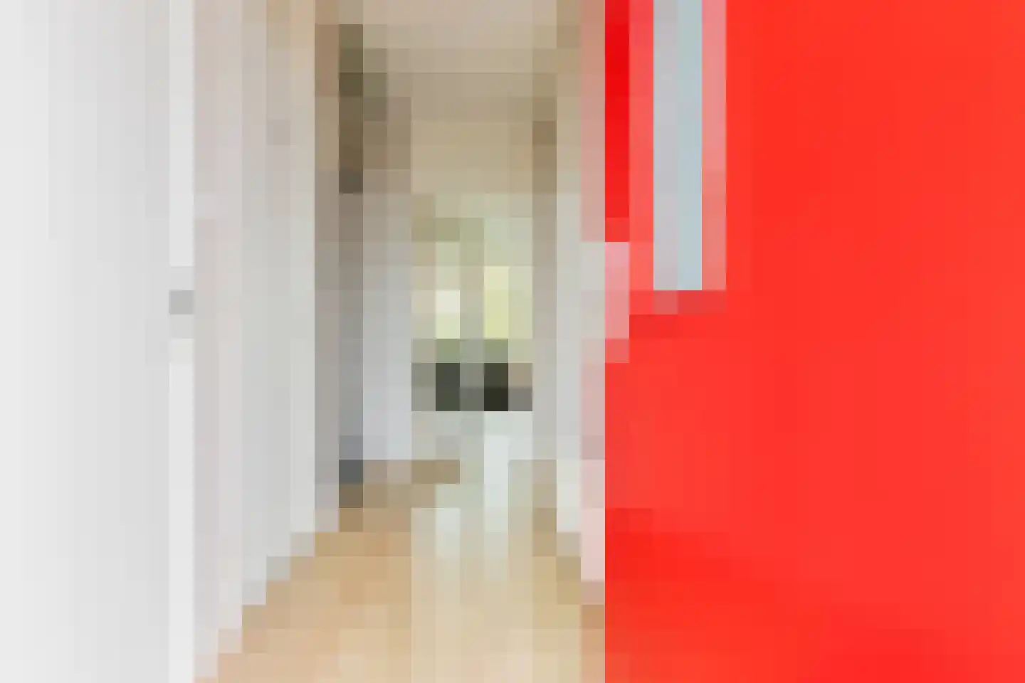 Bilderdijklaan 87 Groningen thumbnail 11