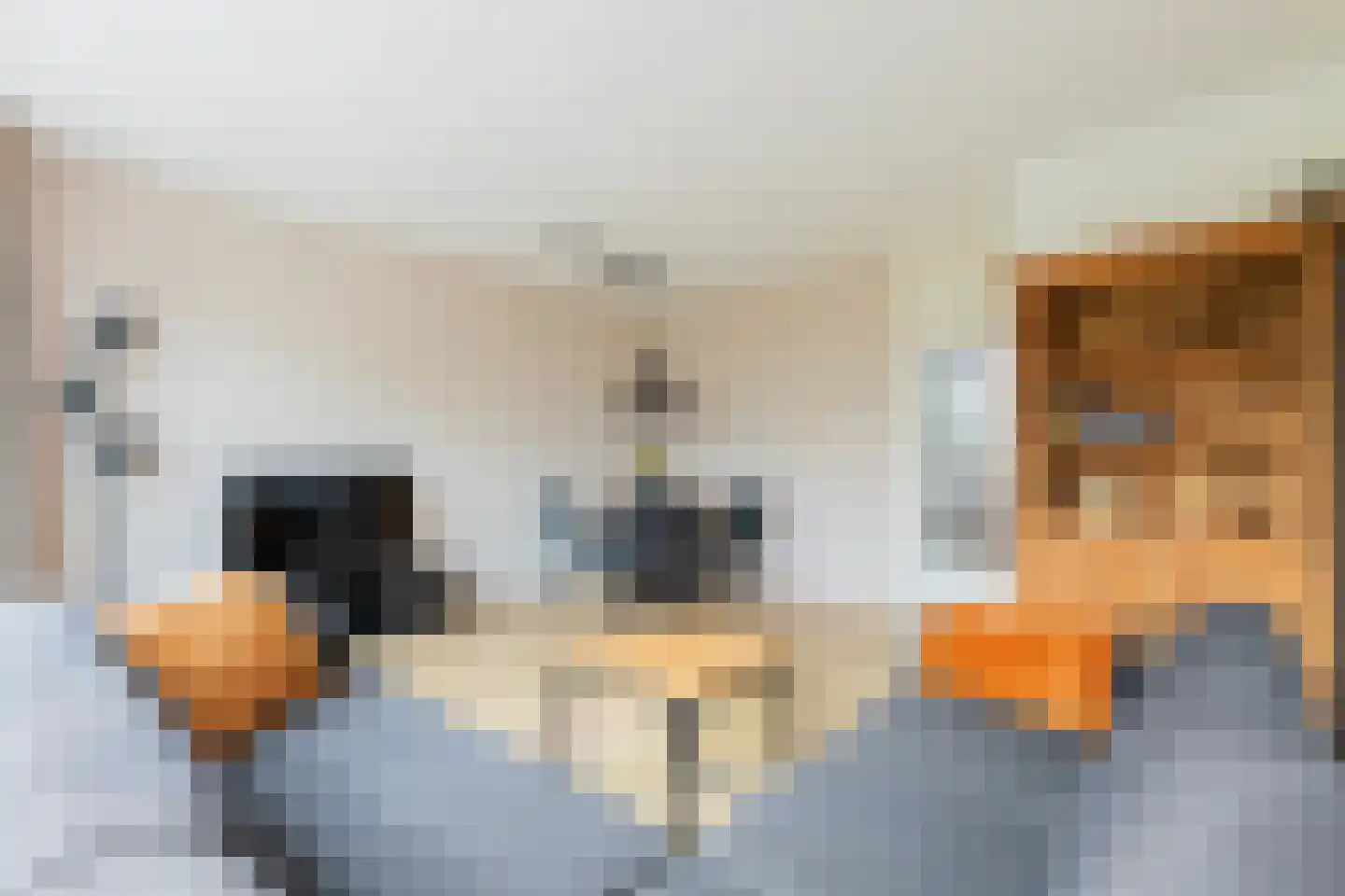 Bilderdijklaan 87 Groningen thumbnail 14