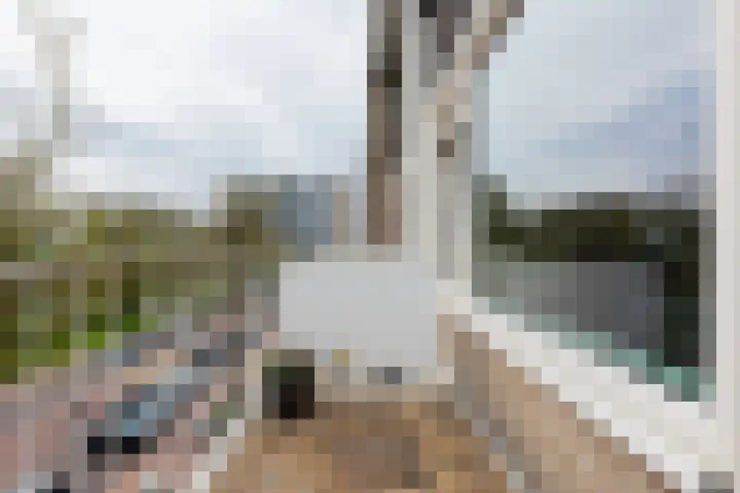 Bilderdijklaan 87 Groningen thumbnail 17
