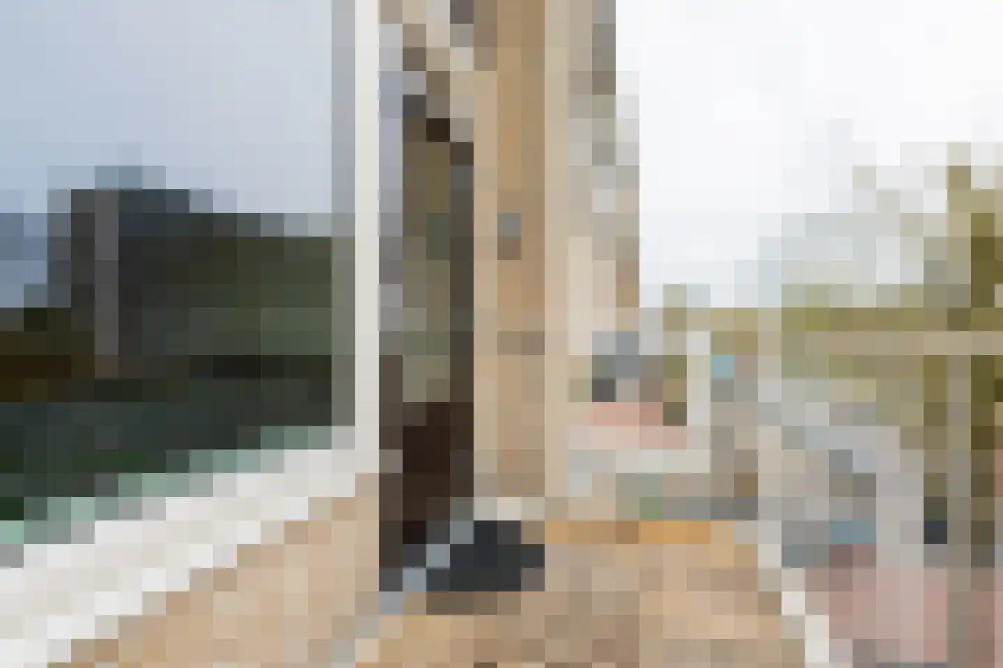 Bilderdijklaan 87 Groningen thumbnail 18