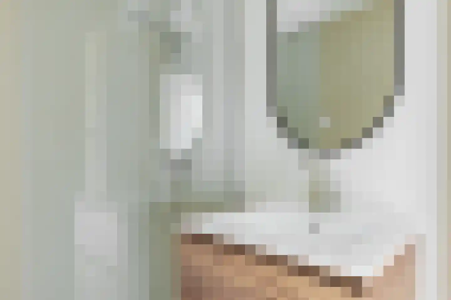 Bilderdijklaan 87 Groningen thumbnail 37