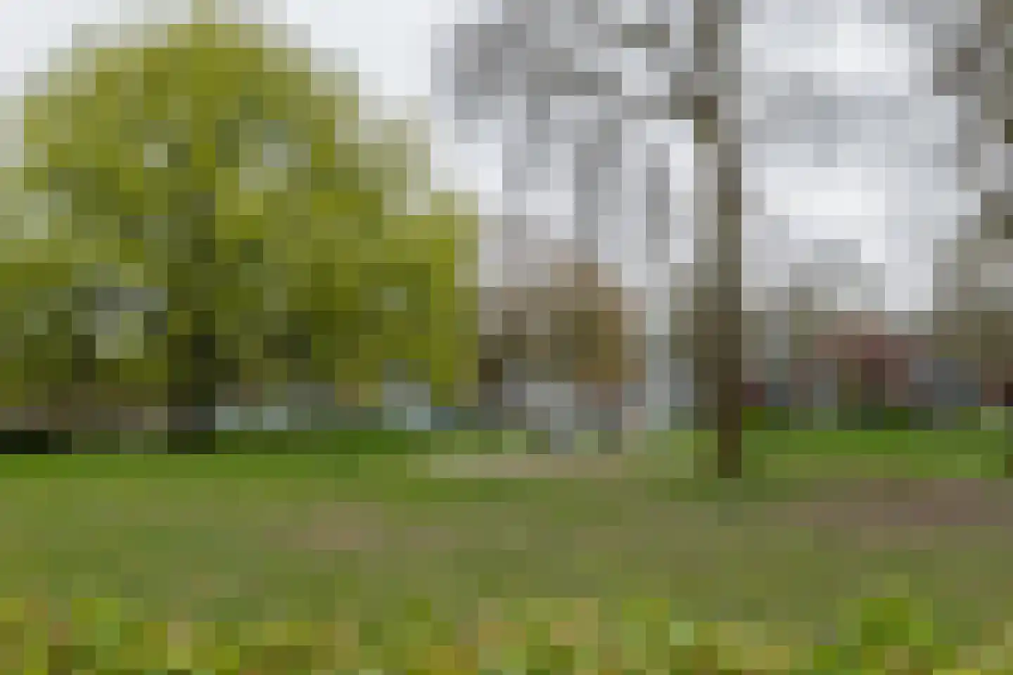 Bilderdijklaan 87 Groningen thumbnail 39
