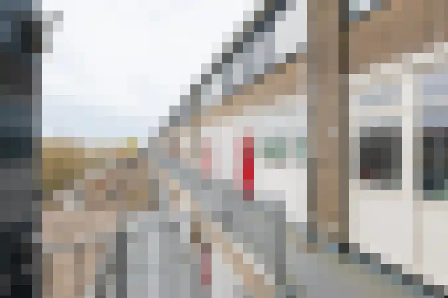 Bilderdijklaan 87 Groningen thumbnail 8