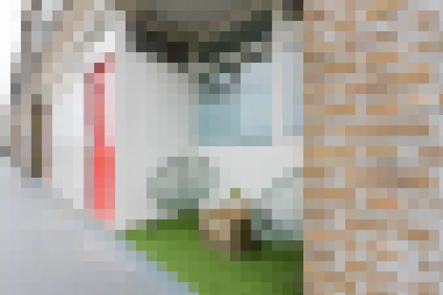 Bilderdijklaan 87 Groningen thumbnail 9