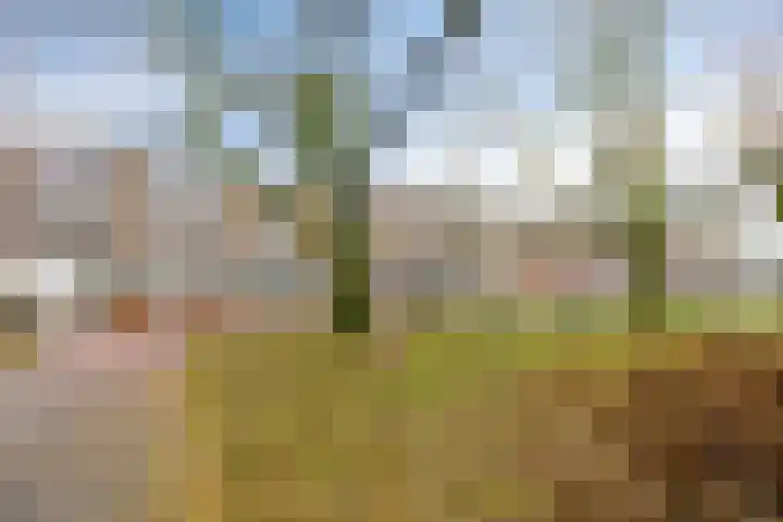 Bilderdijklaan 89 Groningen thumbnail 22